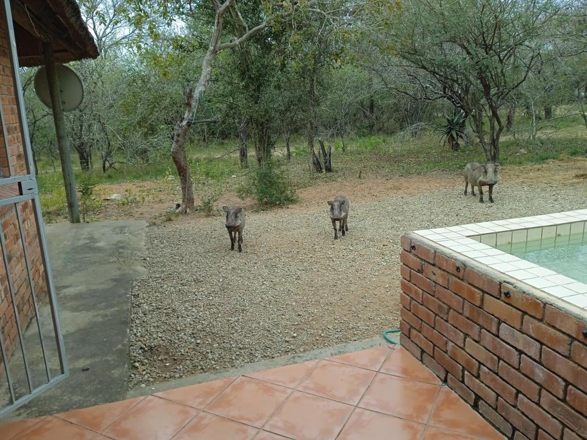 Eagle'S Crest Βίλα Marloth Park Εξωτερικό φωτογραφία
