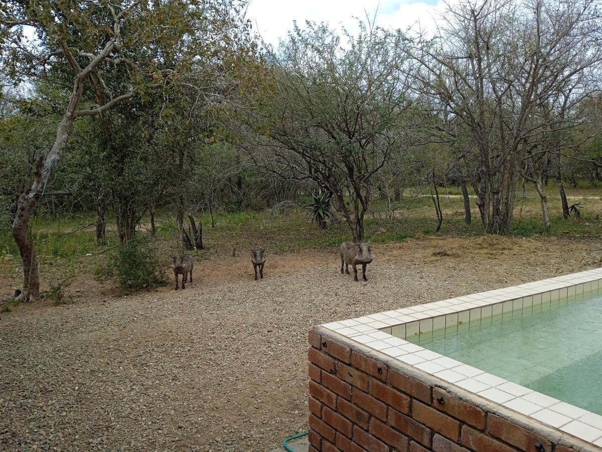 Eagle'S Crest Βίλα Marloth Park Εξωτερικό φωτογραφία