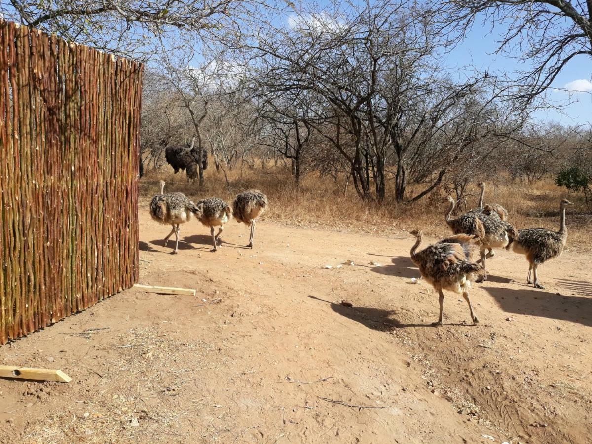 Eagle'S Crest Βίλα Marloth Park Εξωτερικό φωτογραφία