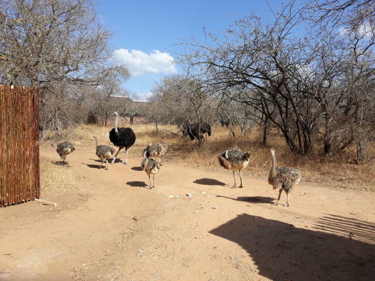 Eagle'S Crest Βίλα Marloth Park Εξωτερικό φωτογραφία